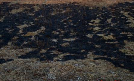 Pożar traw w gminie Karlino