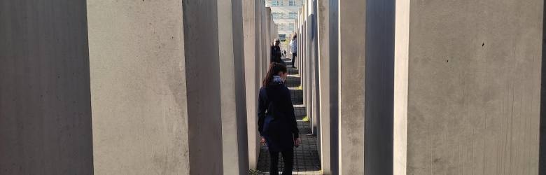 Pomnik Pomordowanych Żydów Europy składa się z 2711 betonowych bloków ustawionych w równoległych szeregach