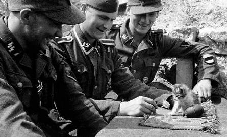 Żołnierze 20. Waffen-Grenadier Division der SS - 20. Dywizji Grenadierów SS, która od listopada do lutego stacjonowała w obecnym Świętoszowie. Składała