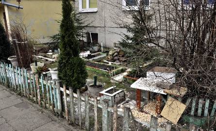 Zaczyna się wielka wojna z przydomowymi ogródkami (zdjęcia)