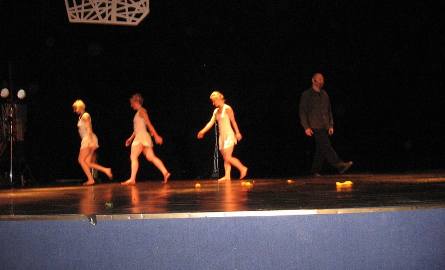Warszawski Teatr Tańca wystąpił w Radomiu i zachwycił widzów (zdjęcia)