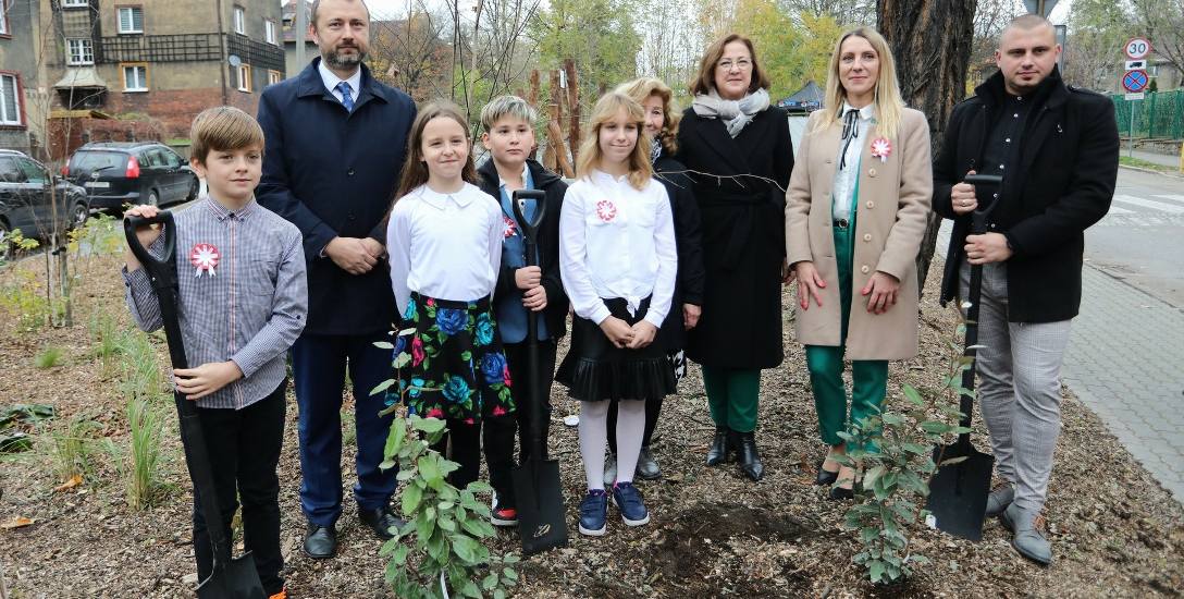 W dzielnicy Zandka w Zabrzu jest już pierwszy nowy skwer zrealizowany w ramach konkursu Wojewódzkiego Funduszu Ochrony Środowiska i Gospodarki Wodnej.