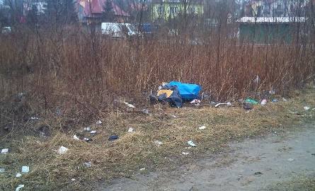 Tych śmieci nie widać z ulicy, bo ukryte zostały za nieskoszoną trawą. Dostrzegł je jednak nasz czytelnik.