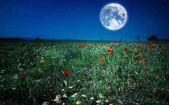 Koźla Pełnia niebawem na niebie. Czy fazy księżyca mają wpływ na nasze zdrowie? Poznaj fakty i mity. Sprawdź, Kiedy będzie pełnia w lipcu?