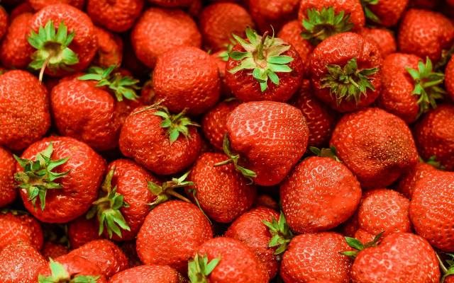 5 sposobów na wysyp truskawek. Wolisz słodkie czy kwaskowate? Mamy sprawdzone metody