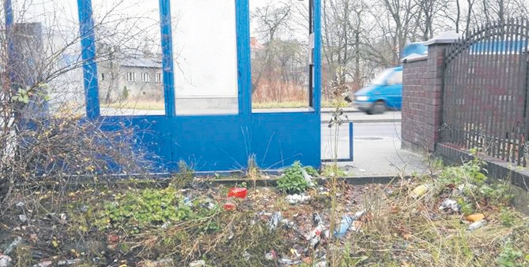Zarząd Infrastruktury Miejskiej zapewnia, że śmieci zza przystanku przy ul. Gdańskiej będą posprzątane