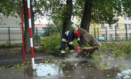 Połamane drzewa, zatarasowane drogi i kilka tysięcy rodzin bez prądu - tak wygląda atak zimy na Mazurach (zdjęcia) 
