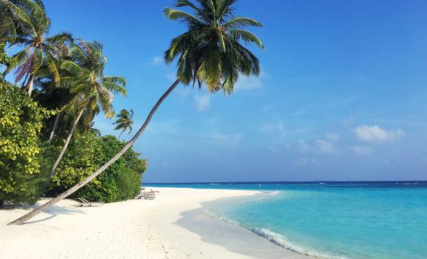 Malediwy uchodzą za oazę luksusu. Tutejsze kurorty oferują turystom pełne zakres usług, zabiegów i technik relaksacyjnych, od spacerów po malowniczych