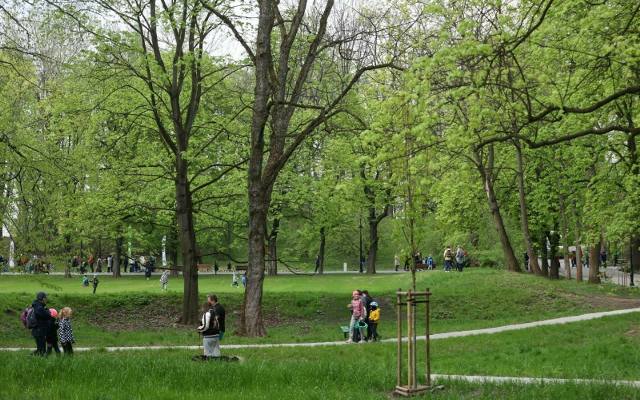 Kraków. 128 lat temu powstał najpiękniejszy krakowski park. Robi wrażenie do dziś! GALERIA