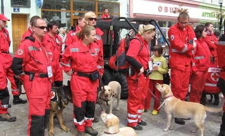 Ratownicy z Polski i Austrii zademnstrowali w żarskim Rynku umiejętności psów ratowniczych.