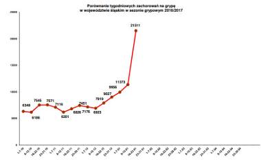 Grypa 2017 w Śląskiem: 21 tys. zachorowań w tydzień