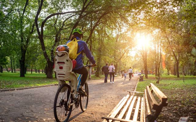 Najciekawsze trasy rowerowe w Poznaniu i Wielkopolsce. Sprawdź, jakie szlaki wybrać na wycieczkę rowerową! Polecają je eksperci