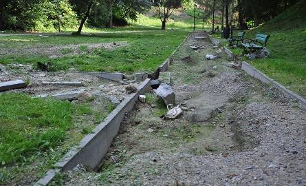 Sandomierz wciąż straszy. Zniszczenia w Parku Piszczele 