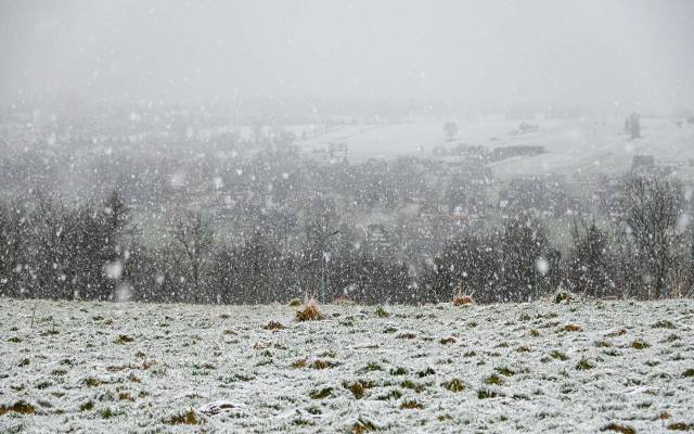 W Zakopanem zaczął padać... śnieg. Radykalna zmiana pogody. Zobaczcie zdjęcia!