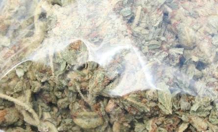 Narkotykowi dilerzy, marihuana i amfetamina w rękach policji (zdjęcia)