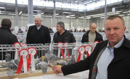 Trzy gołębie Tomasza Kaczmarczyka zakwalifikowały się na Ogólnopolską Wystawę w Sosnowcu. Mężczyzna zajmuje się hodowlą od 18 roku życia.