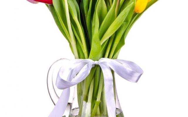 Bukiet tulipanów wprowadzi wiosnę do mieszkania, nawet gdy za oknem wiosny jak na lekarstwo.