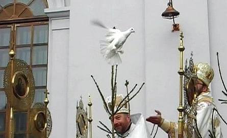 Gołąb jest symbolem Ducha Świętego