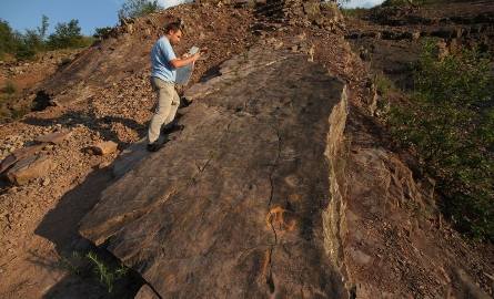 W kamieniołomie Zachełmie odnaleziono ślady tetrapoda – najstarszego czworonoga, który chodził po Ziemi.