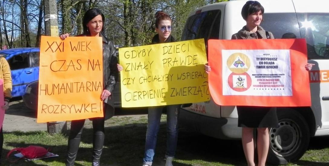 Tak przeciwko cyrkowi protestowano w Gorzowie rok temu