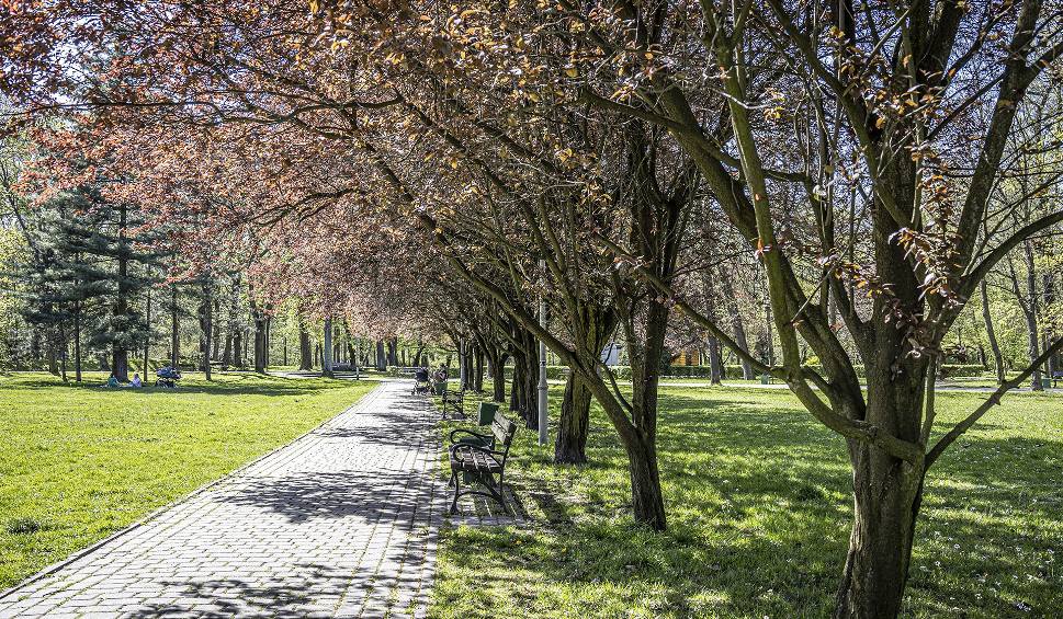 Film do artykułu: Wiosna zawitała do Parku Kościuszki w Katowicach. Jest pięknie! ZDJĘCIA