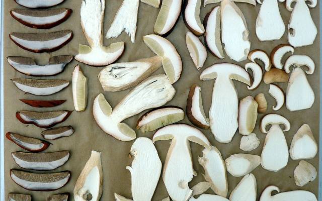 Aby przygotować większe okazy grzybów do suszenia, należy pokroić je w plastry. Kawałki grzybów można rozłożyć luzem na blasze lub nawlec ja na sznurek. Grzyby