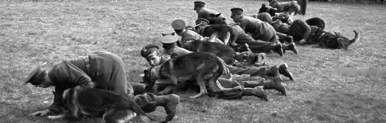 Żołnierze KBW podczas pokazu działań z psami, 1948 r.