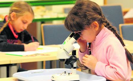 Dzieci pod opieką prowadzących podglądały pod mikroskopem, jakie mikroorganizmy kryją ich bursztyny.