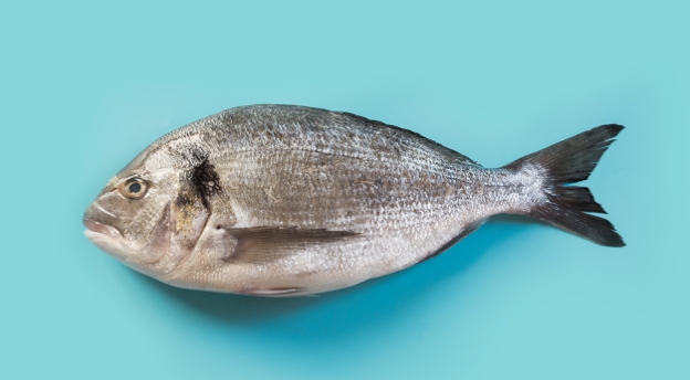 Czy znasz polskie powiedzenia? A czy wiesz od czego psuje się ryba? QUIZ