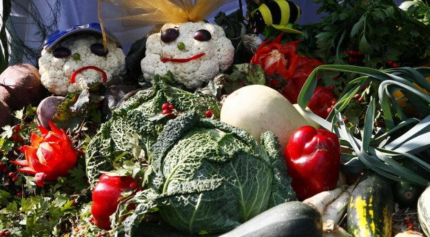 Czy wiesz jak przechowywać warzywa i owoce?