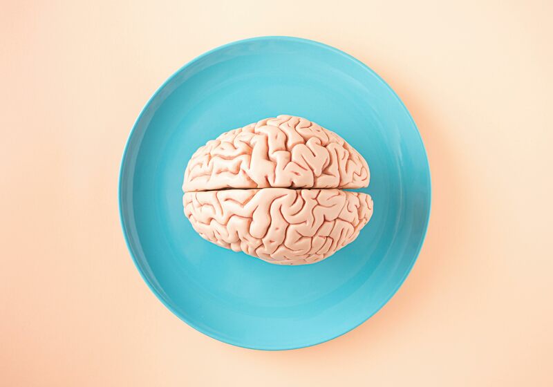 Ile średnio waży mózg dorosłego człowieka?