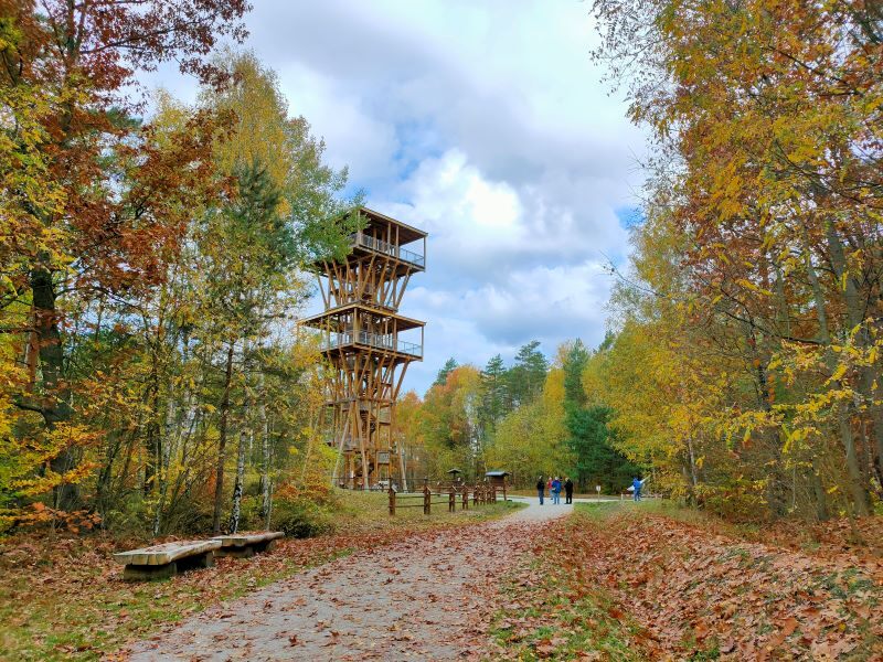 Ścieżka geoturystyczna „Dawna Kopalnia Babina” koło Łęknicy to jedna z największych atrakcji województwa lubuskiego. Jak myślisz, ile osób rocznie odwiedza ten obiekt?