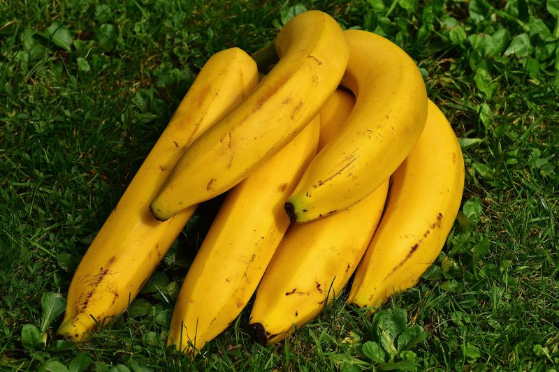 Masz świeżą kiść bananów? Uważaj, jak je przechowujesz! Szybciej sczernieją, jeśli będą leżały obok…