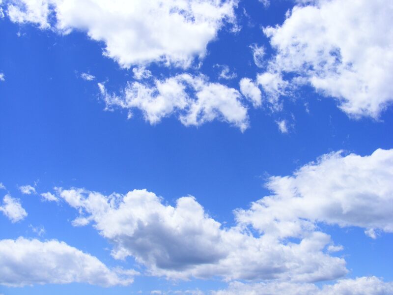 „Punktowcem” i „drapaczem chmur” można nazwać...