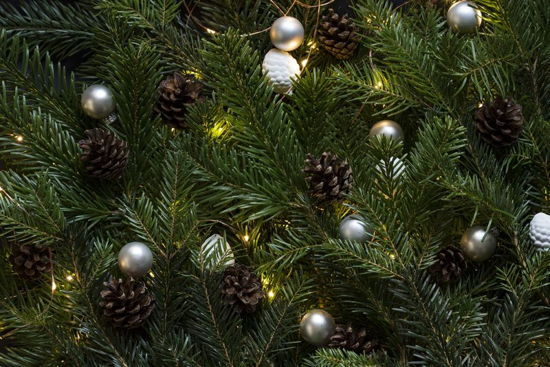 Co pełniło rolę głównej ozdoby bożonarodzeniowej, zanim w podlaskich domach pojawiły się choinki?